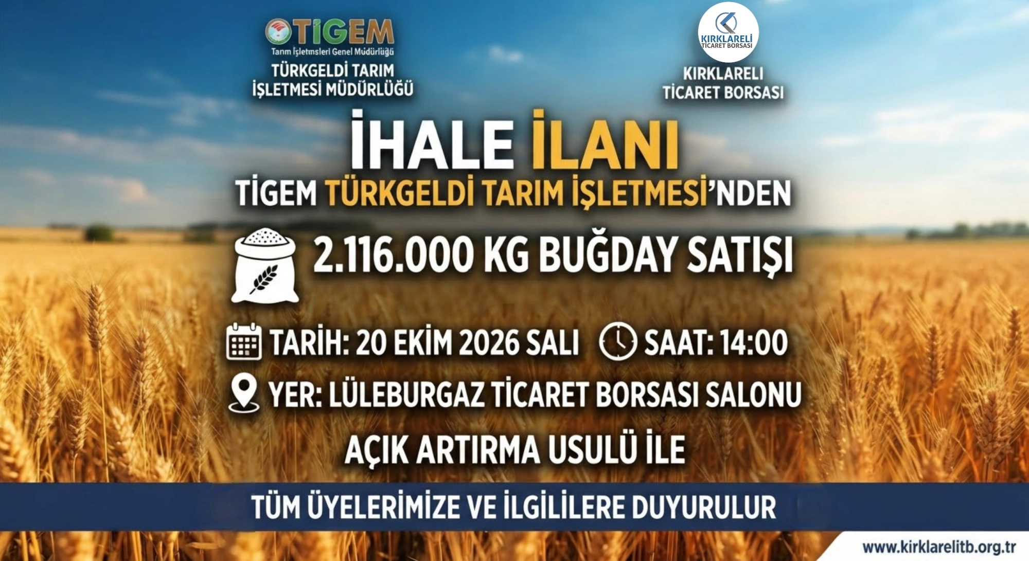 Tigem Türkgeldi Tarım İşletmesinden Buğday Satış İhalesi